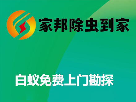 白蚁免费上门勘察