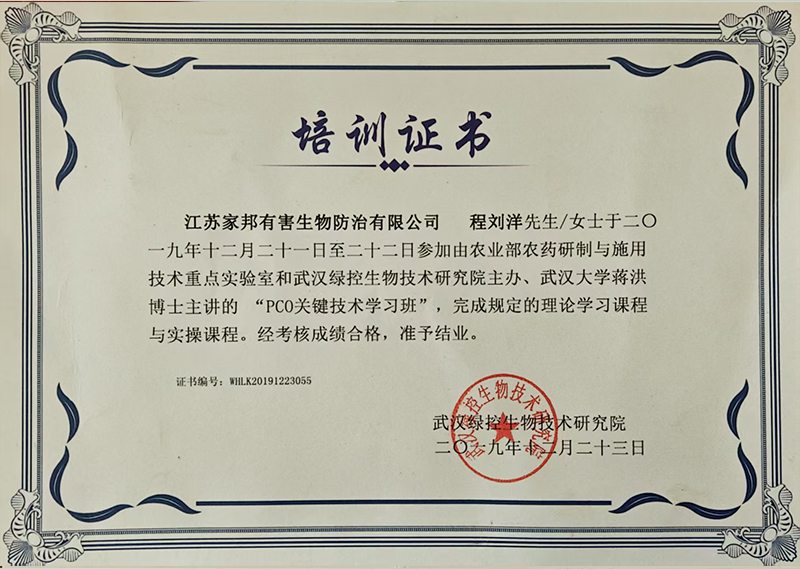 培训证书